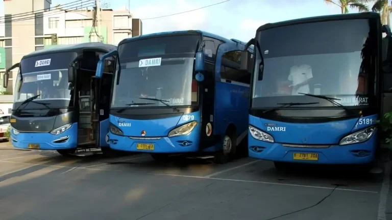 No Telepon dan Jadwal Damri Bus Bandung Indramayu, Harga Tiket Mulai 90rb, Rute Tidak Via Subang